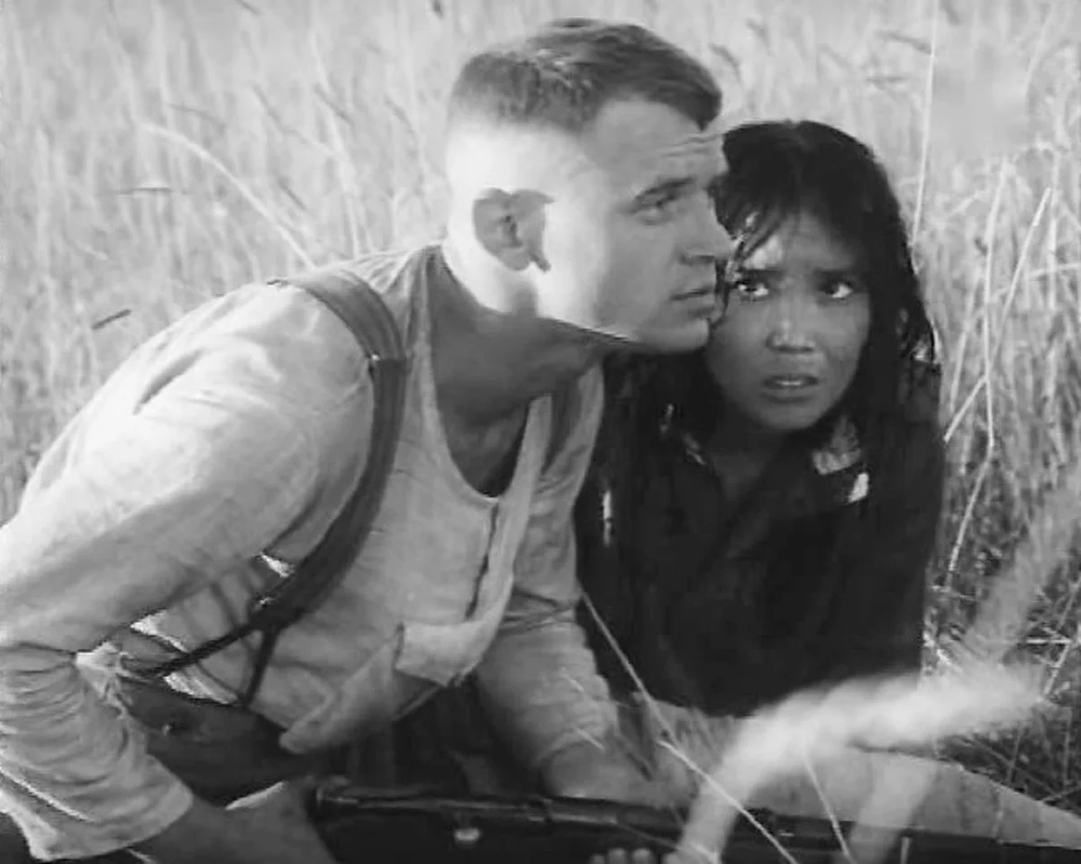 Спокойный день в конце войны