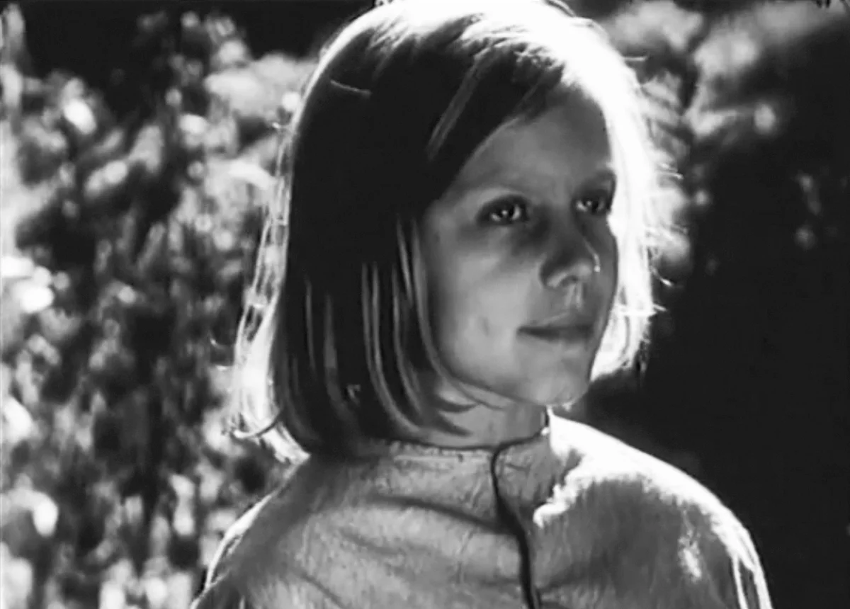 Короткое затишье