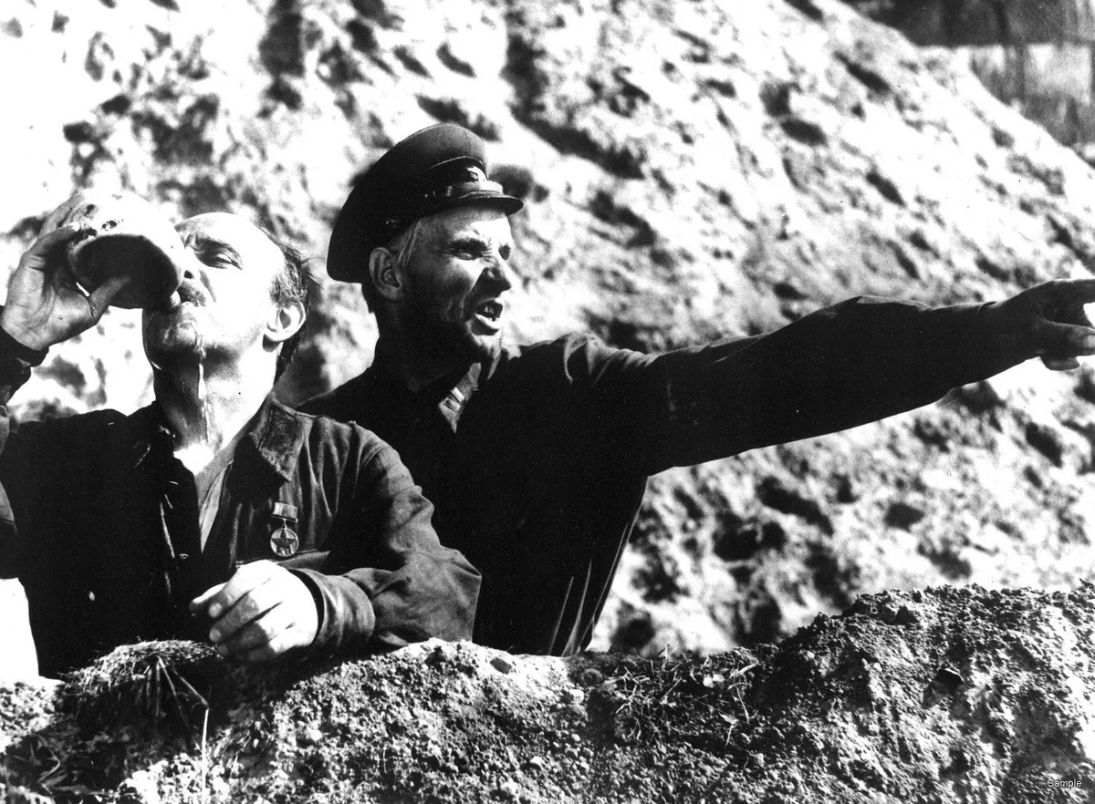 Проверка на дорогах