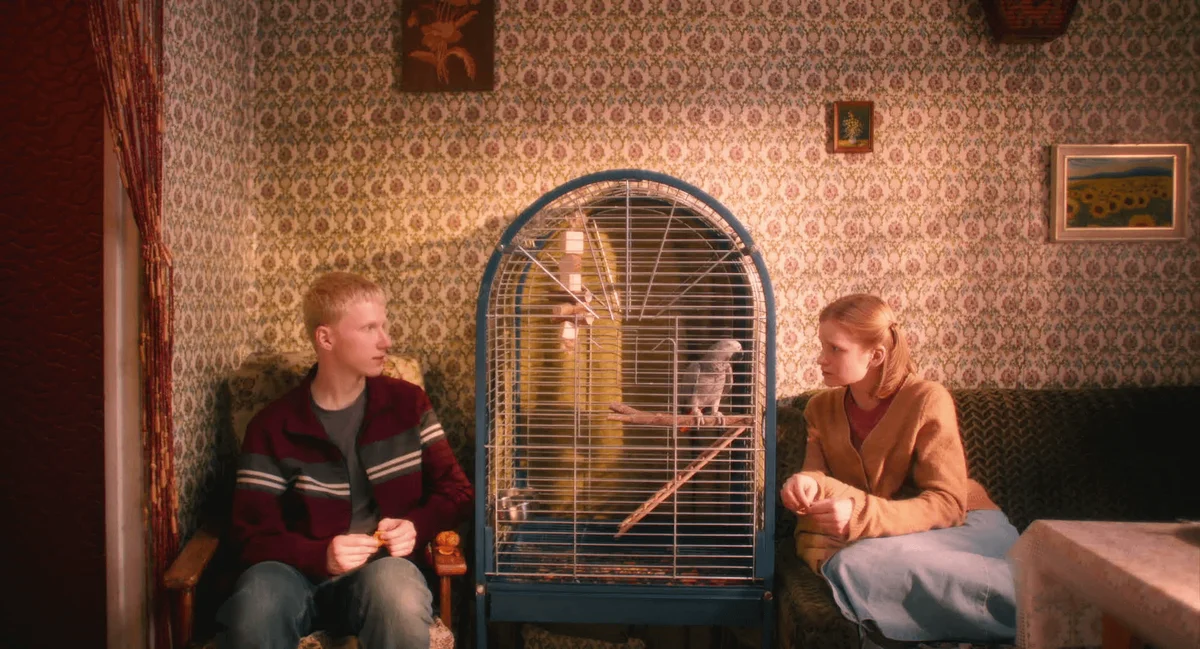 Мальчик-птица